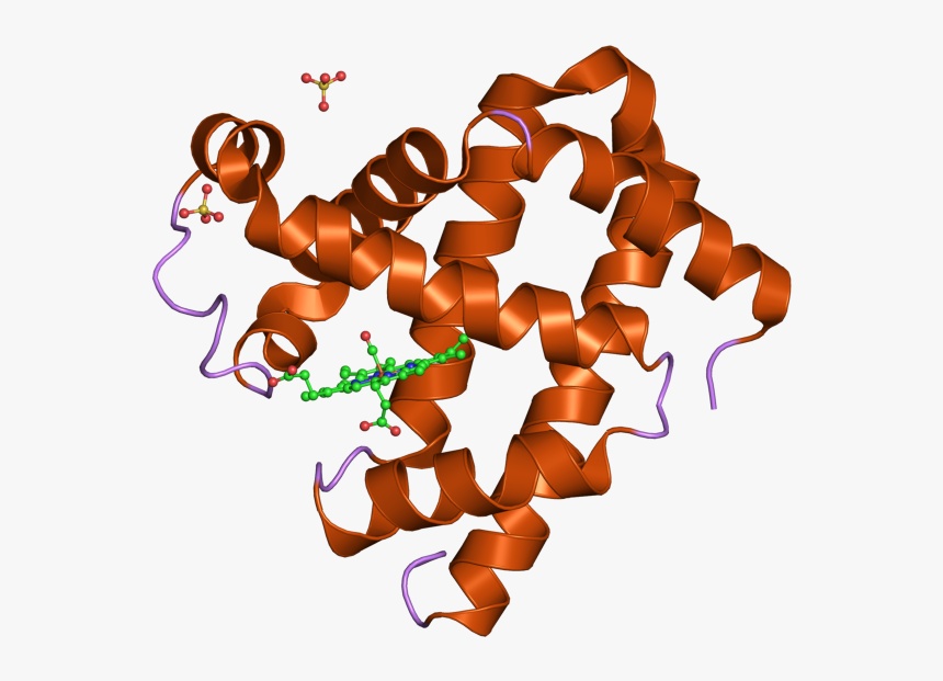 Pdb 2zss Ebi - Illustration, HD Png Download, Free Download