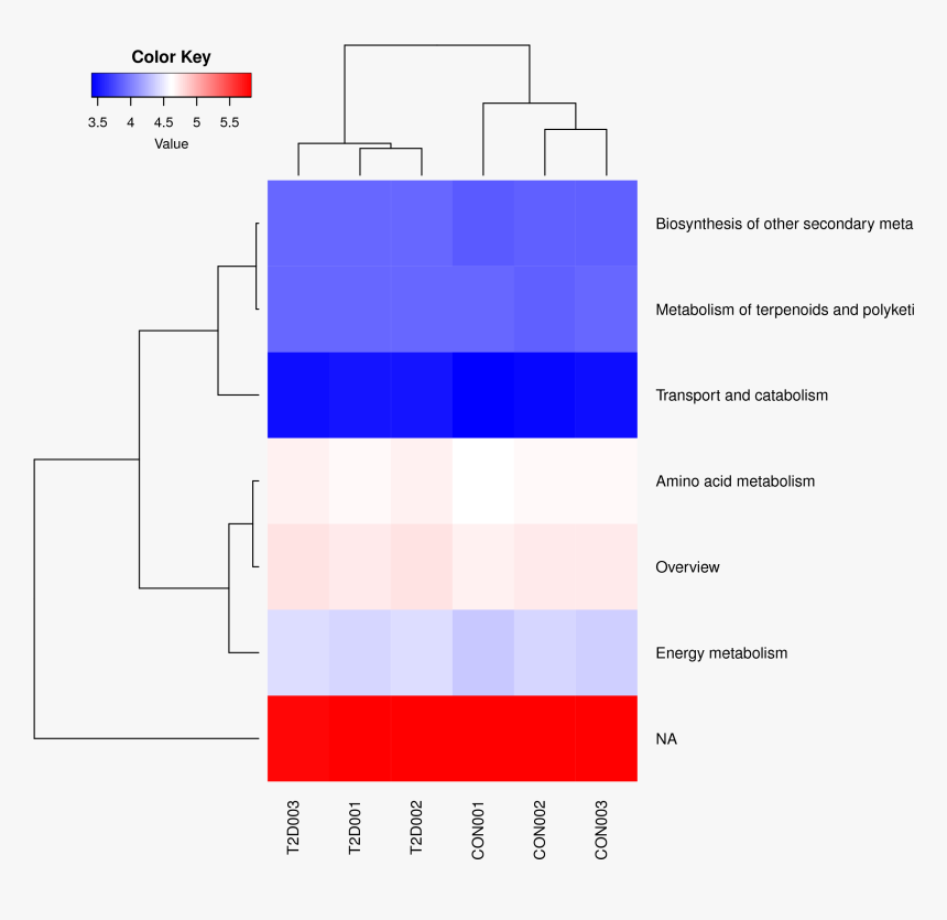 Diagram, HD Png Download, Free Download