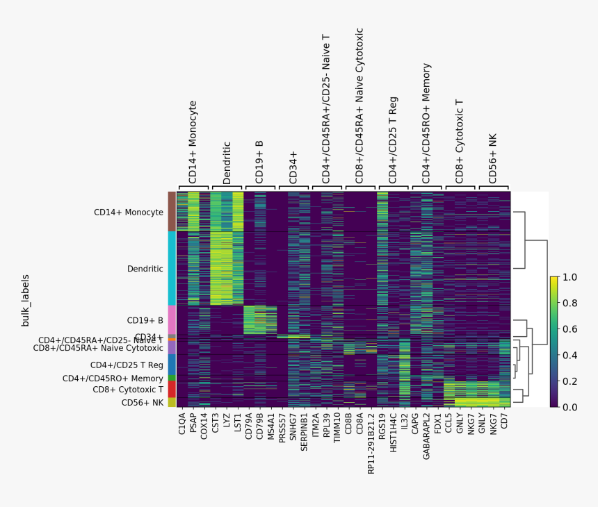 Images/visualizing Marker Genes 64 0 - Marker On Heatmap, HD Png Download, Free Download