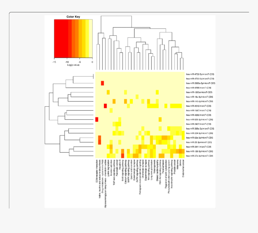 Log P Value Heat Map, HD Png Download, Free Download