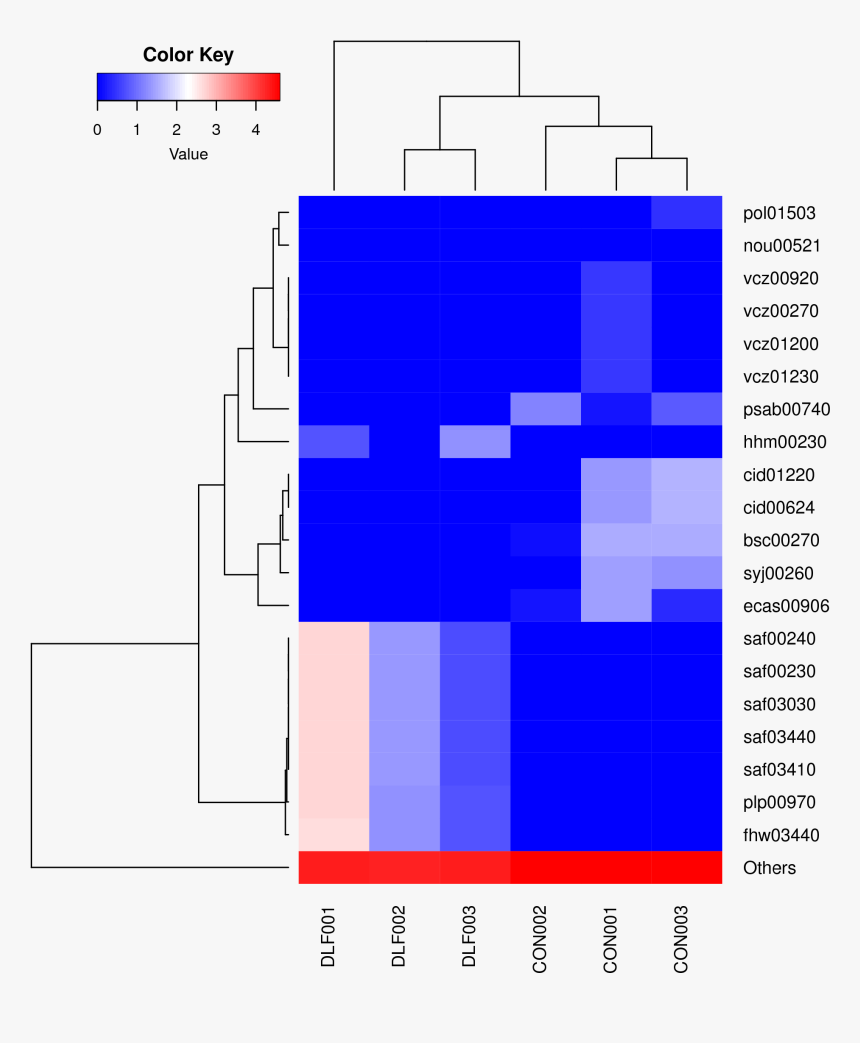 Diagram, HD Png Download, Free Download