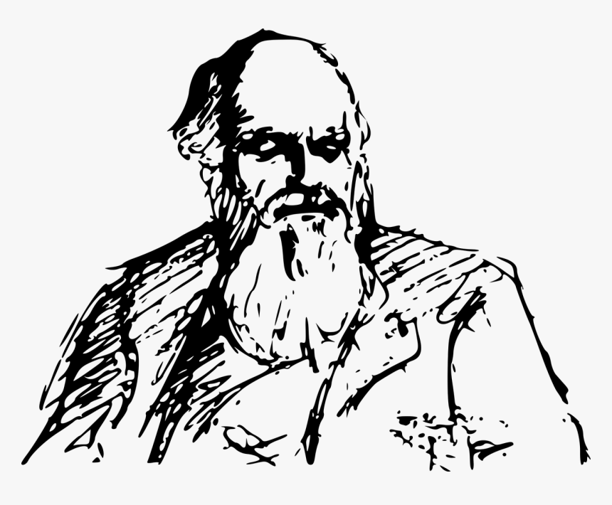 Charles Darwin Clipart Png, Transparent Png, Free Download