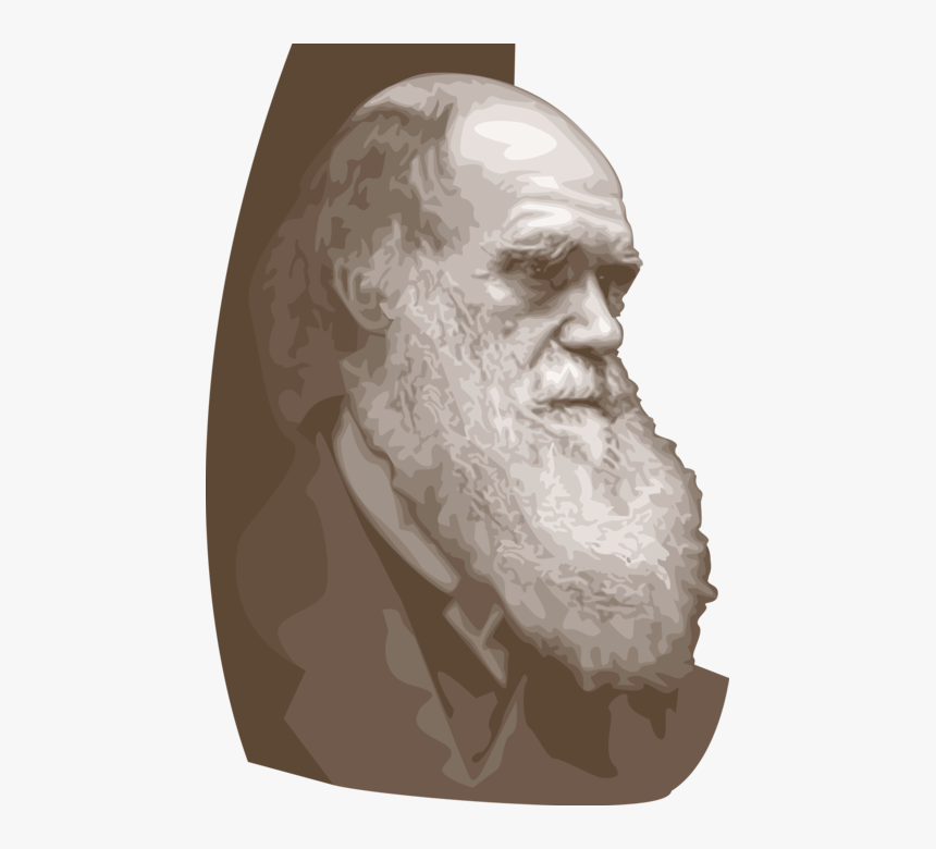 Vector Illustration Of Charles Darwin English Naturalist - Charles Robert Darwin, HD Png Download, Free Download