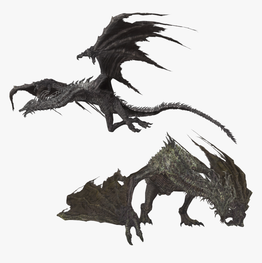 Dragon Wyvern Smaug Dark Souls The Elder Scrolls V - Dragon Dark Souls Png, Transparent Png, Free Download