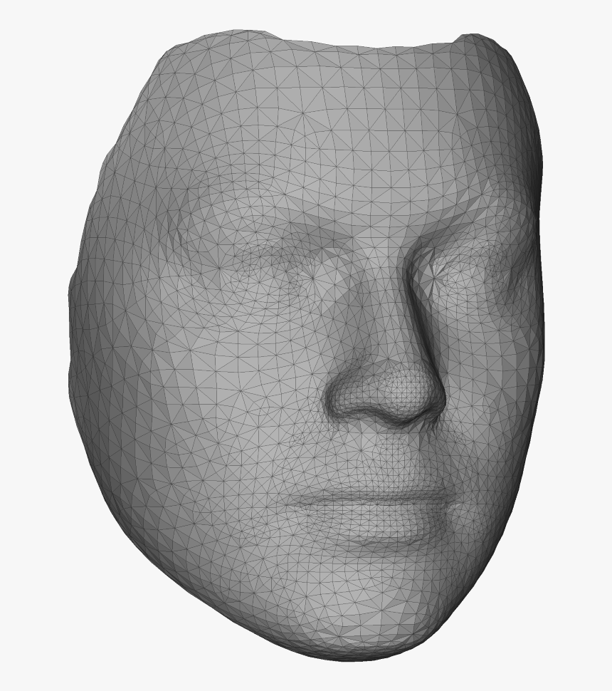 Surrey Face Model Shape Picture - 3d Face Model Png, Transparent Png, Free Download