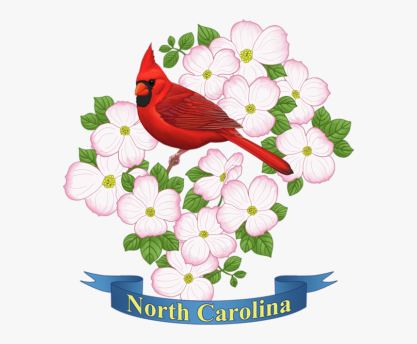 Click And Drag To Re-position The Image, If Desired - State Of North Carolina Flower, HD Png Download, Free Download