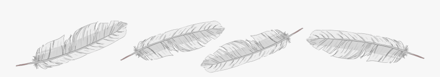 Clip Art Puff Daddy S No - Monochrome, HD Png Download, Free Download