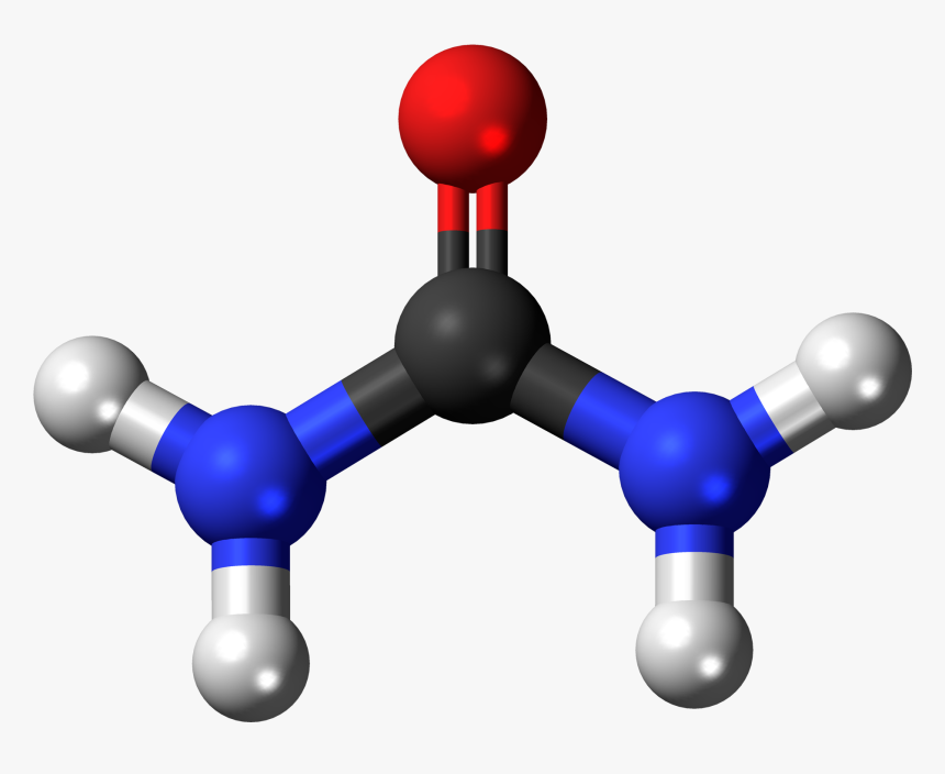 Urea Molecule, HD Png Download, Free Download