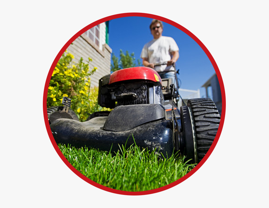 Lawn Service Bel Air Md - Lawn Care Website Layout, HD Png Download, Free Download