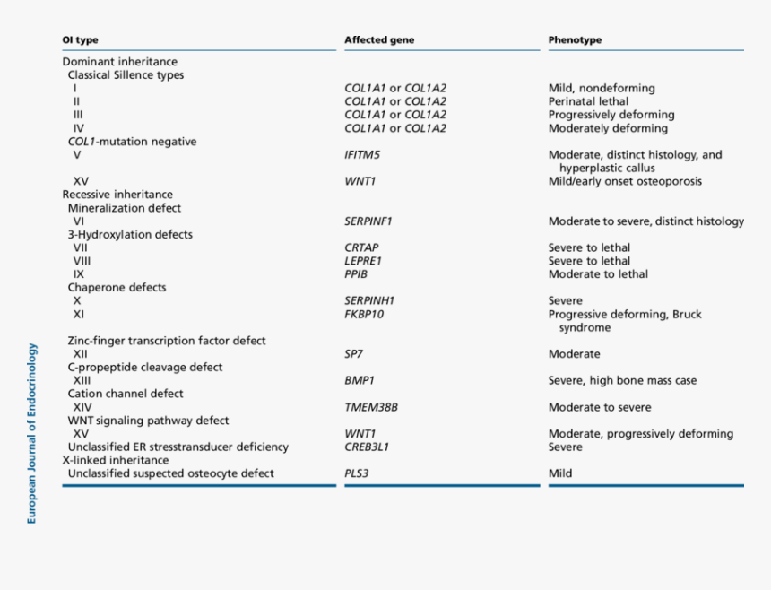 Classification Osteogenesis Imperfecta Type 8, HD Png Download, Free Download