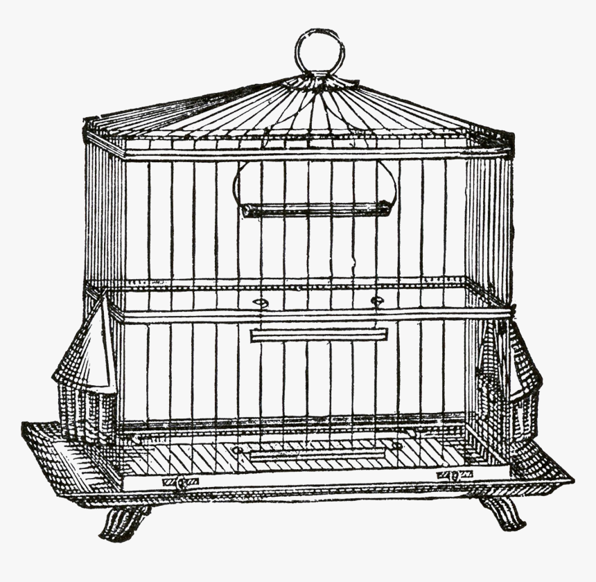 Graphics Fairy Birdcage Trans - Cage Clipart Transparent Background, HD Png Download, Free Download