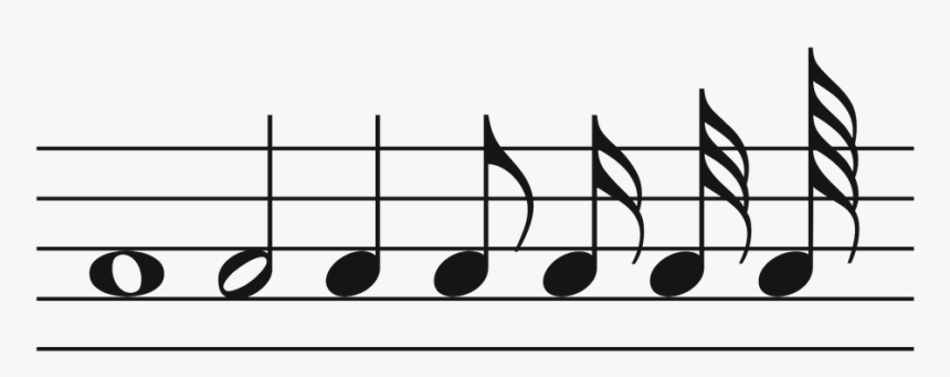 Musik Pngs Gratis - Music Notes Longest To Shortest, Transparent Png, Free Download