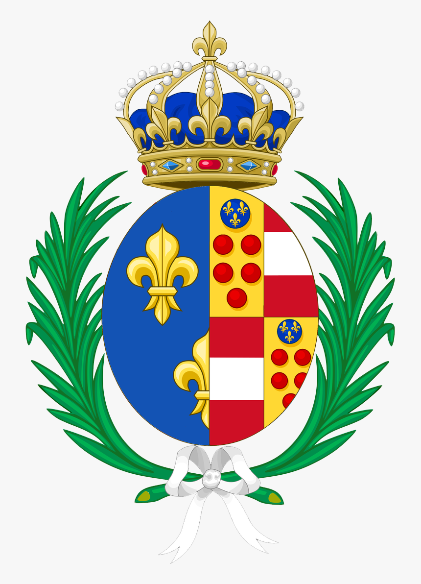 Coa Of Marie Of Medicis - French Royal Coat Of Arms, HD Png Download, Free Download