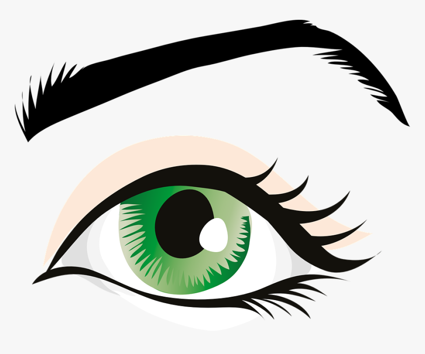 Olho, Olhos Verdes, Pálpebra, Íris, Sobrancelhas, Vendo - Eyebrow Clipart, HD Png Download, Free Download