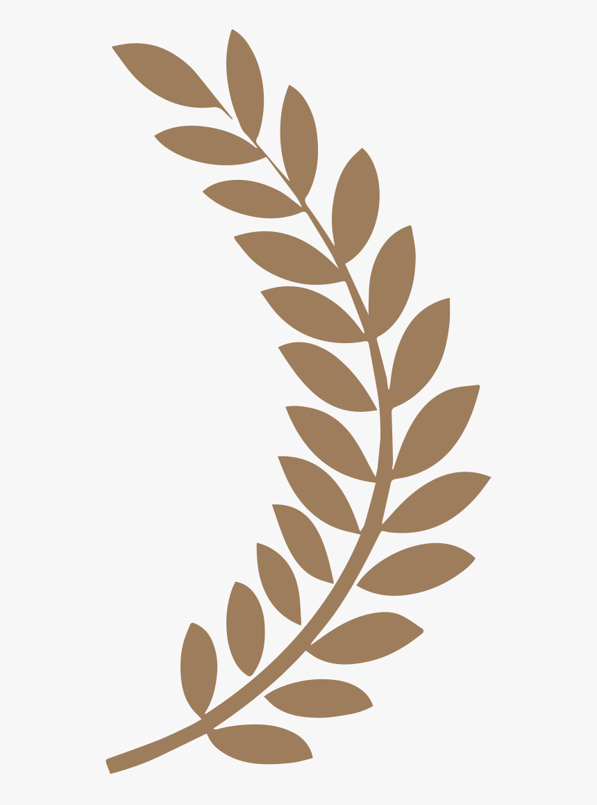 Laurel Clipart Fern - Film Festival Laurels Png, Transparent Png, Free Download