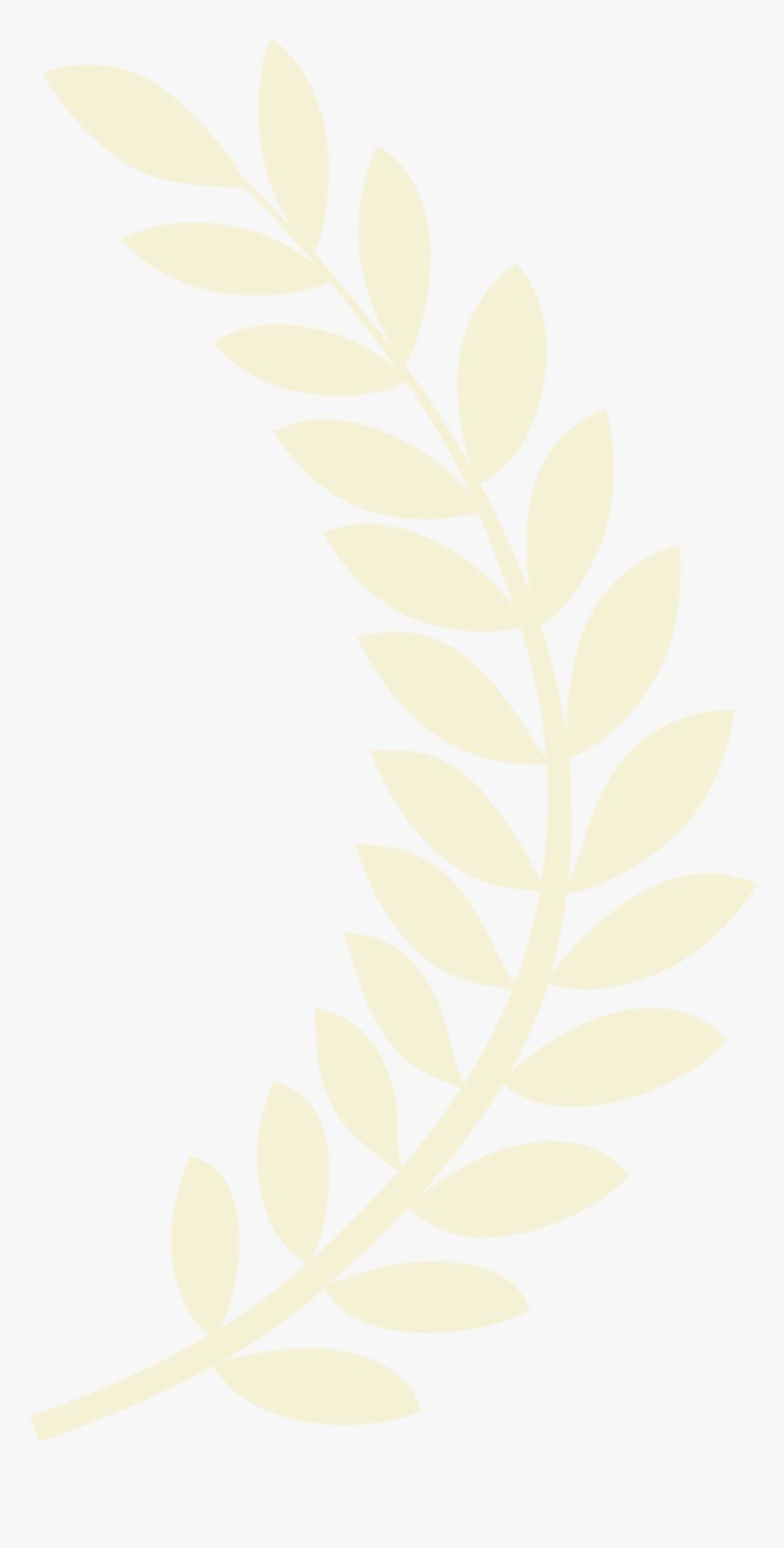 Awards & Festival Screenings - Laurel Leaves White Png, Transparent Png, Free Download