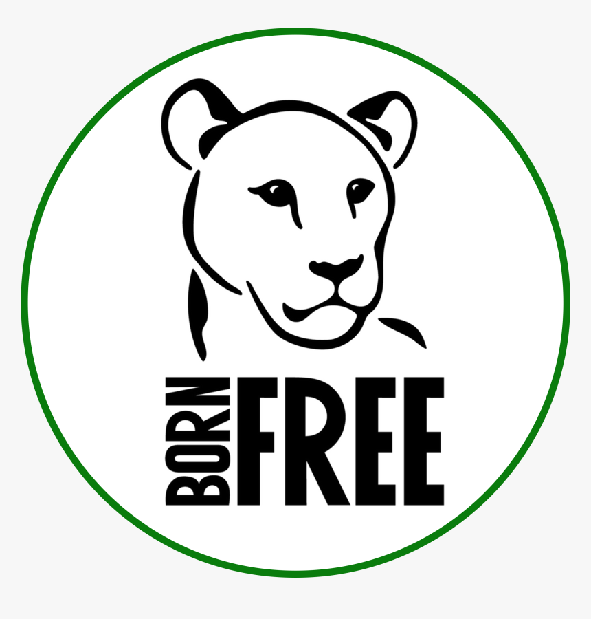 The Born Free Foundation - Cartoon, HD Png Download, Free Download