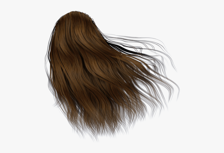 Long Hair Back Png, Transparent Png, Free Download