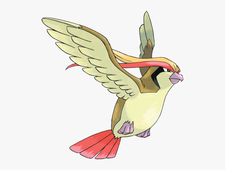 Pidgeot - Pokemon Pidgeot, HD Png Download, Free Download