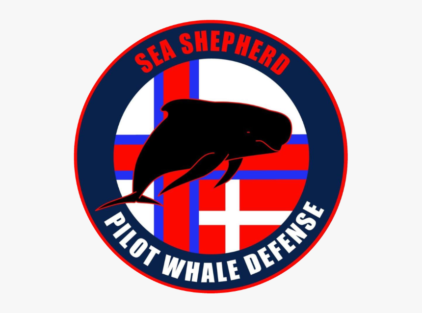 "
 Src="https - Sea Shepherd Pilot Whales Defense, HD Png Download, Free Download