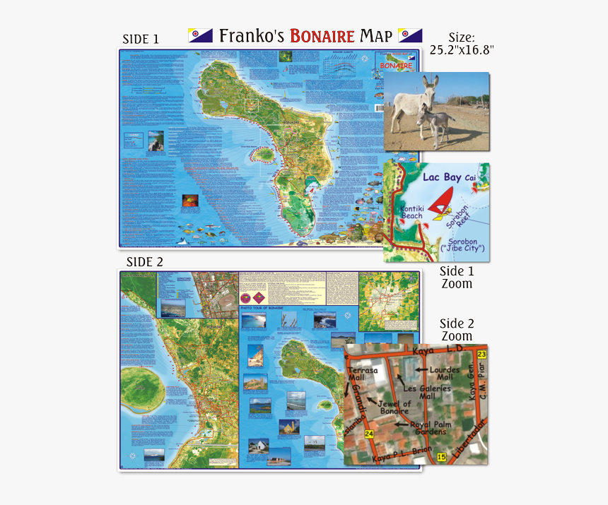 Bonaire On World Map, HD Png Download, Free Download