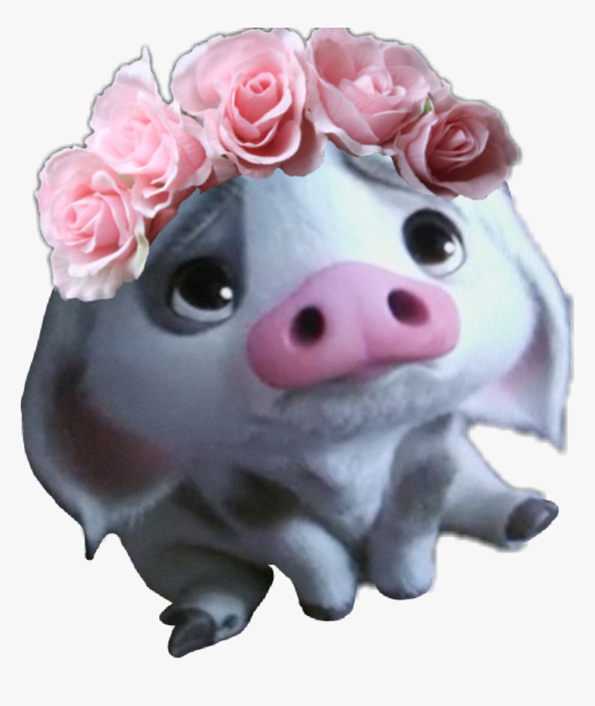 Pua Moana Png - Moana Pua Png, Transparent Png, Free Download