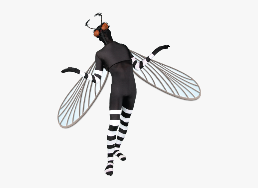 Dengue Fever Png Logo, Transparent Png, Free Download