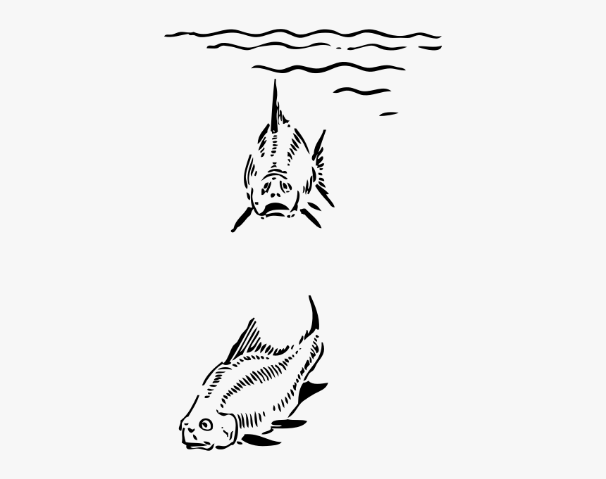 Fish Under The Sea Black White Line Art 555px - Under The Sea Clipart, HD Png Download, Free Download