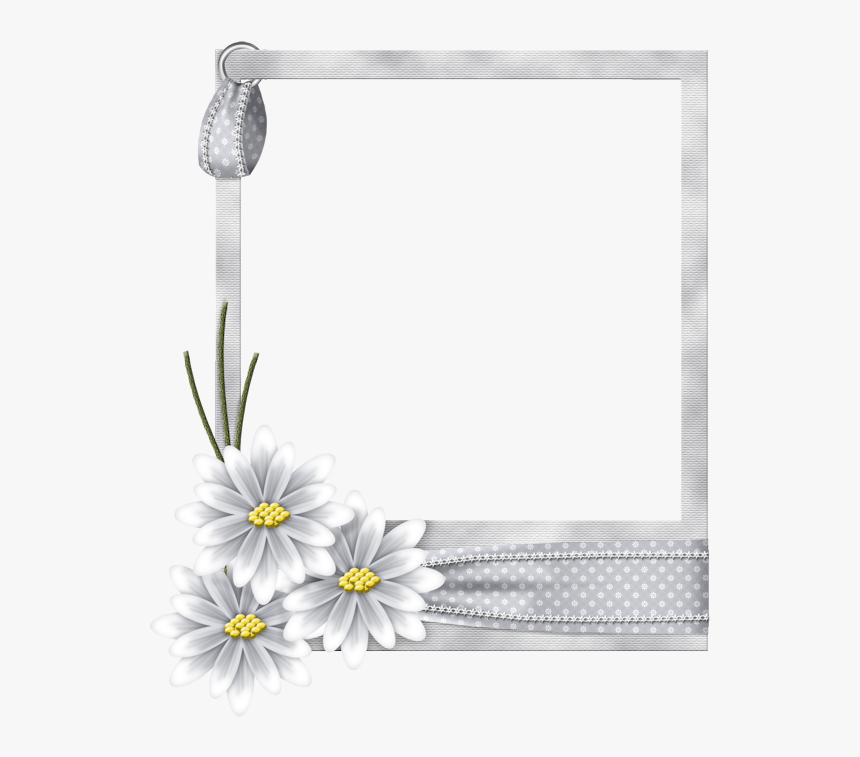 Clip Art Flores Pinterest Moldura De - White Flower Frame Png, Transparent Png, Free Download