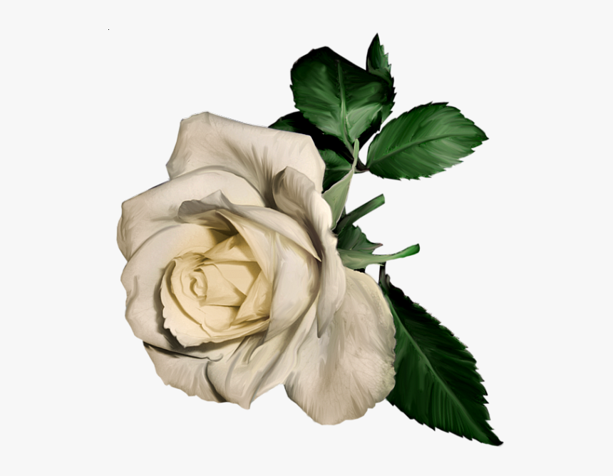 Transparent Mason Jar Flowers Png - Rose Painting Png Transparent, Png Download, Free Download