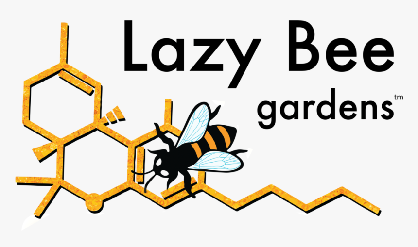 Lazy Png, Transparent Png, Free Download