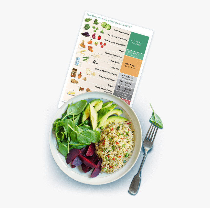 Plant Based Daily Food Chart, HD Png Download, Free Download