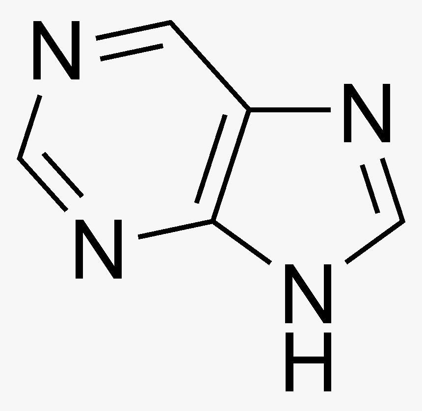 Purine Structure - Norharmane, HD Png Download, Free Download