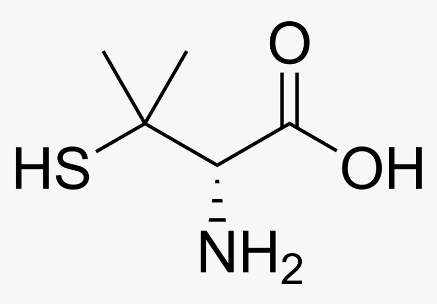 Penicillamine Structure - D Cysteine, HD Png Download, Free Download