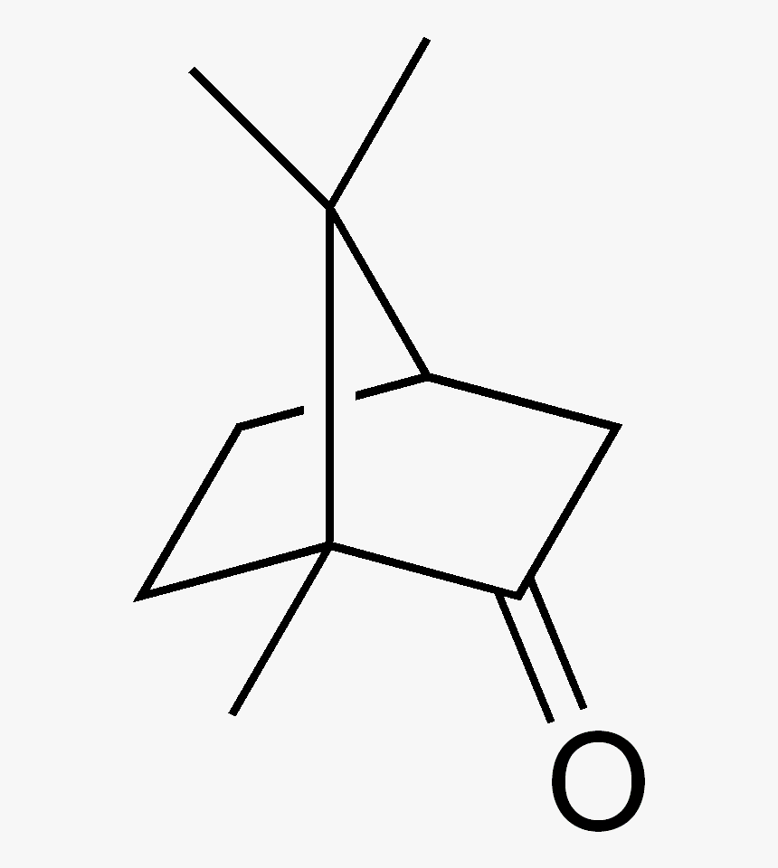 Camphor Structure - 2 Chloro Norbornane, HD Png Download, Free Download