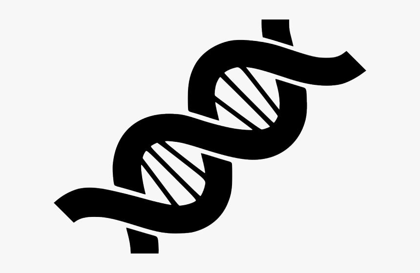 Transparent Dna Png Transparent - Genetic Png, Png Download, Free Download