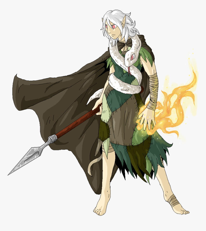 The Elven Druid - White Hair Elf Druid, HD Png Download, Free Download