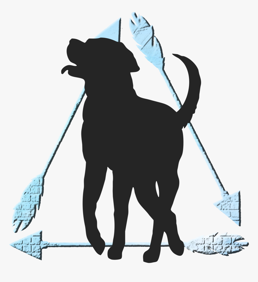 Cat Dog Pet Mammal Leash - Dog, HD Png Download, Free Download