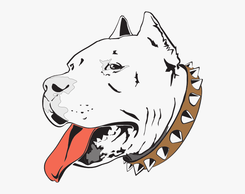 Pit Bull Clip Art - Pitbull Drawings, HD Png Download, Free Download