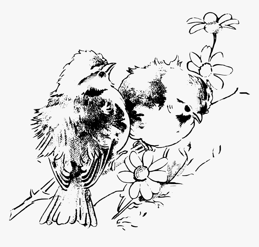 Chickadees Tlc Pinterest Stamps - Illustration, HD Png Download, Free Download