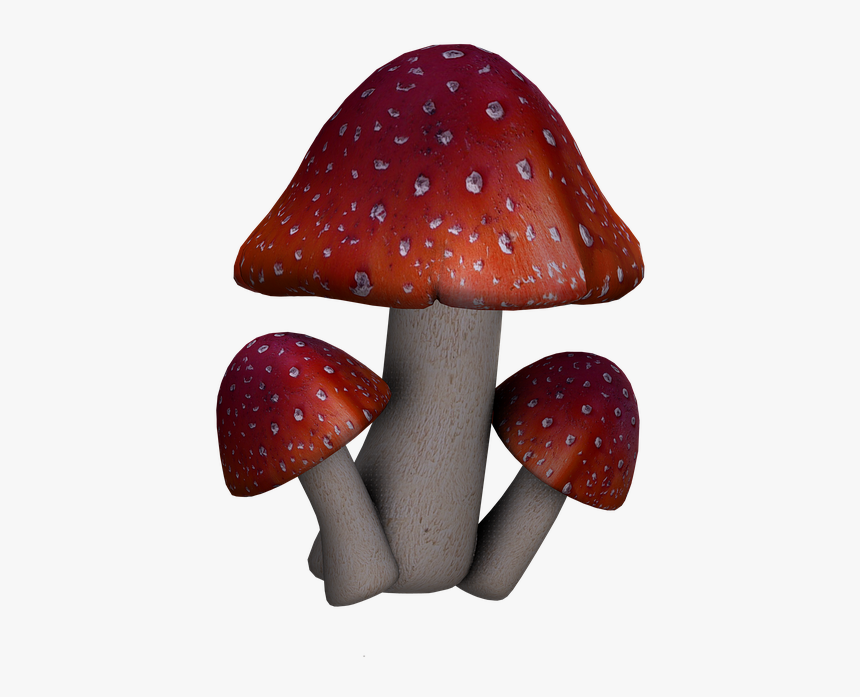 Fly Agaric, Mushrooms, Fantasy, Digital Art, Isolated - Fantasy Mushrooms Png, Transparent Png, Free Download