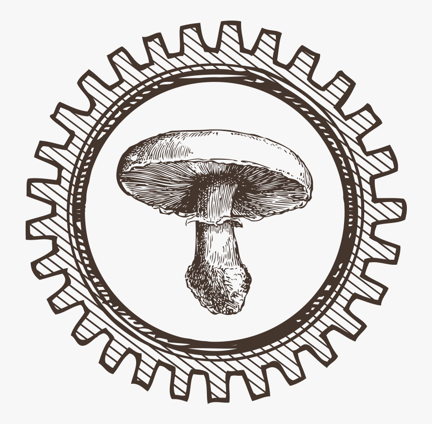 Fungi Png, Transparent Png, Free Download