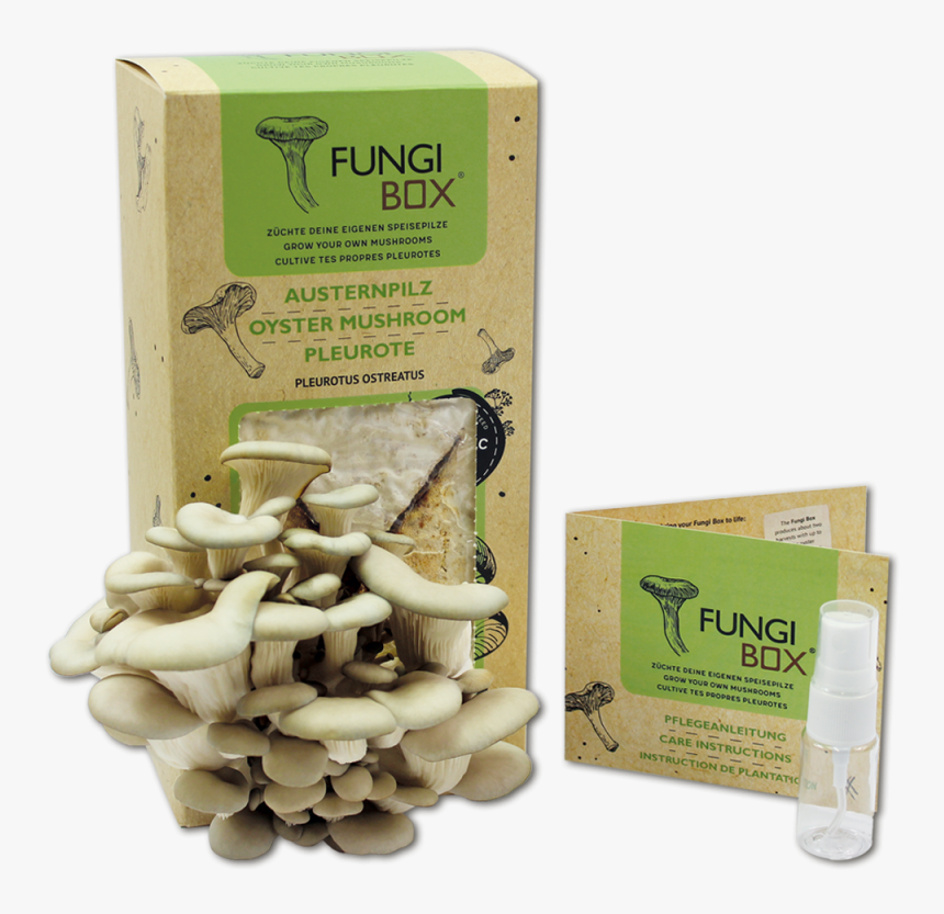 Fungus Box, HD Png Download, Free Download