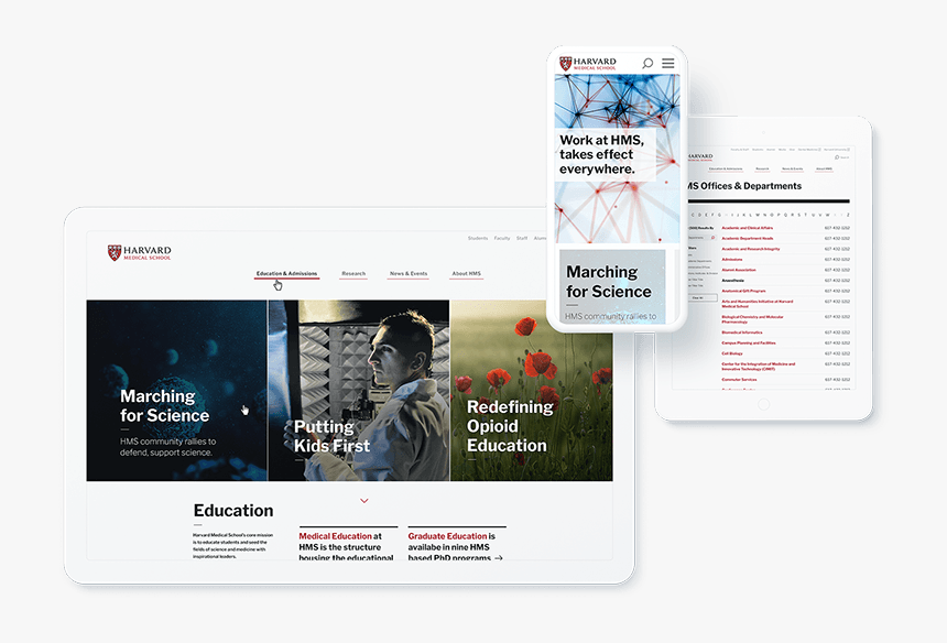 Harvard Medical Site Mockup On Tablets And Mobile - Website, HD Png Download, Free Download