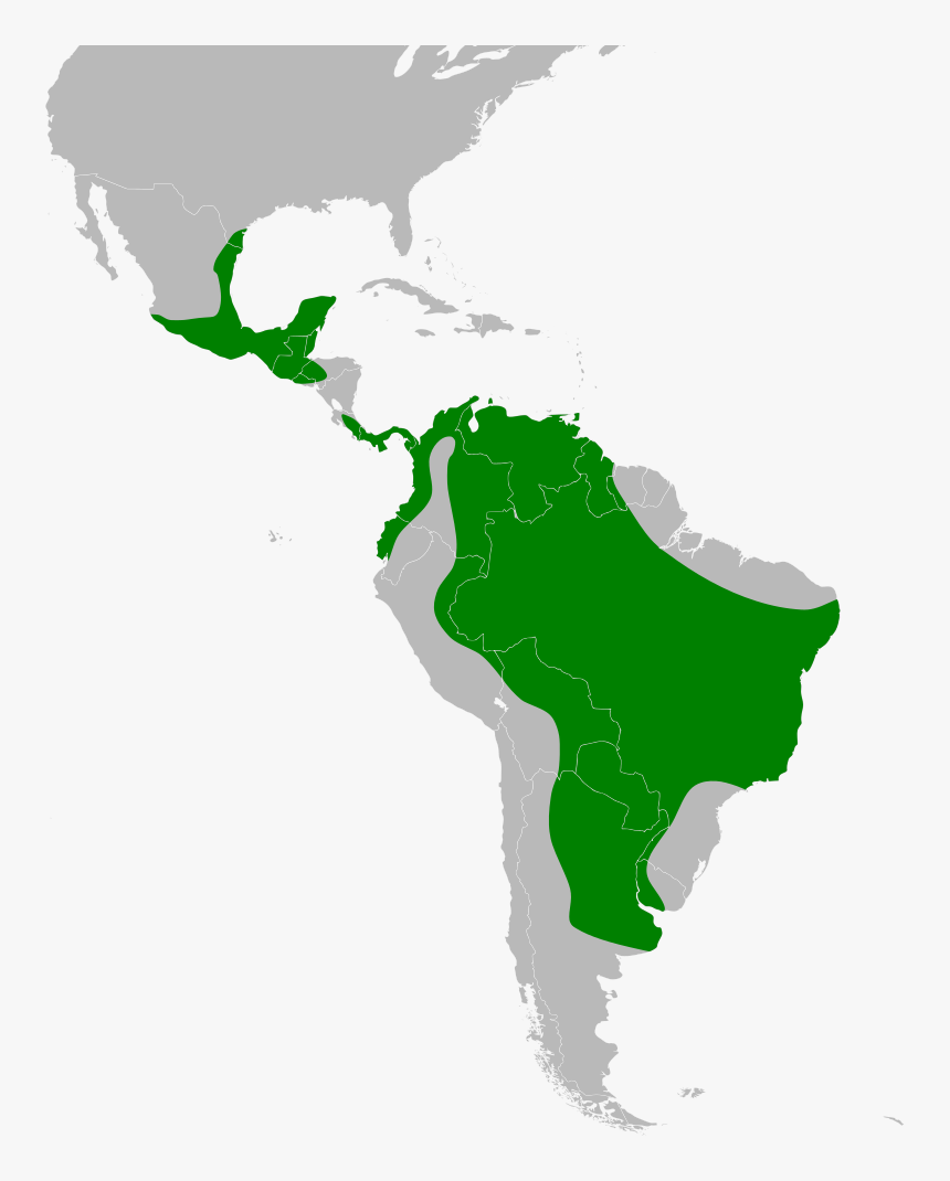 Latin America Map Png, Transparent Png, Free Download