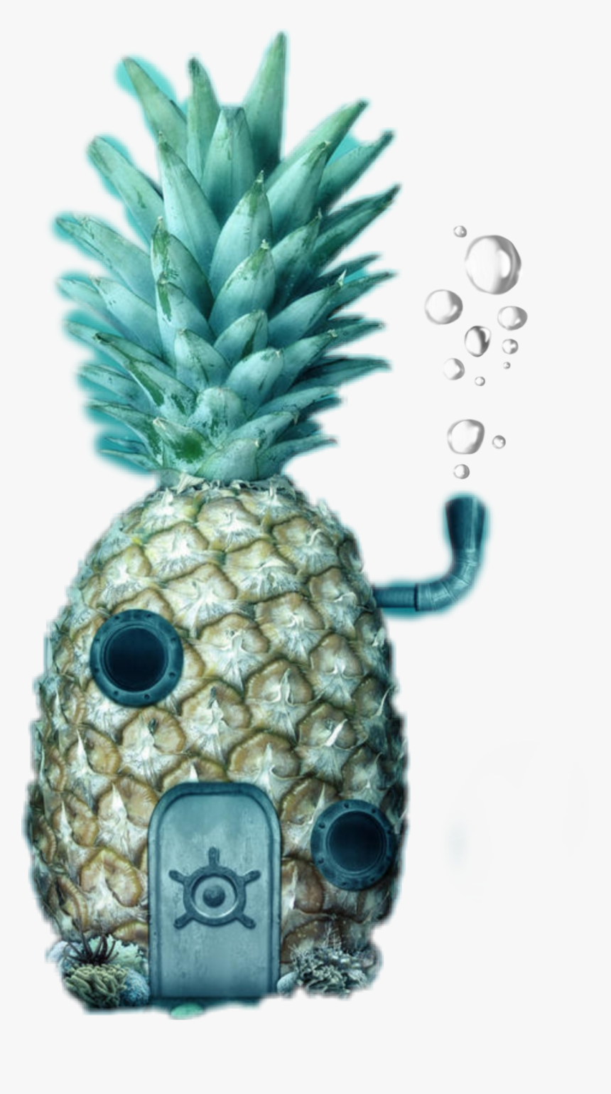 #spongebob #house #pineapple #pineapple🍍 #realistic, HD Png Download, Free Download