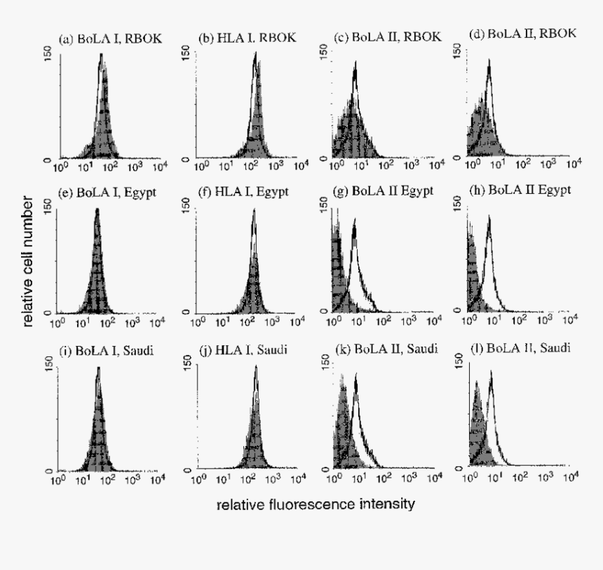 Flow Cytometric Analysis Of Bola Class I And Ii Expression - Line Art, HD Png Download, Free Download