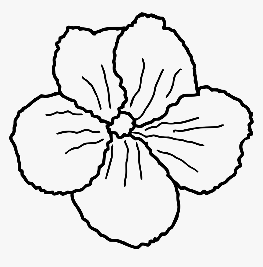 Flower Line Art Clip Arts - Sketch, HD Png Download, Free Download