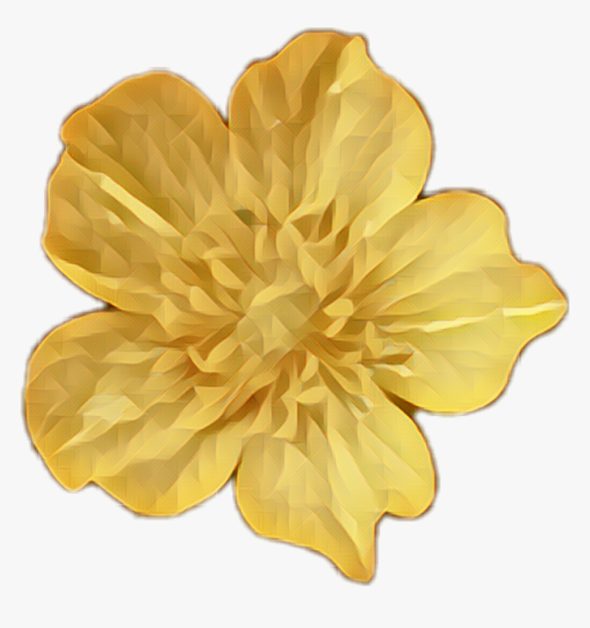 #buttercup #gold #flowers - Gold Flower Png, Transparent Png, Free Download