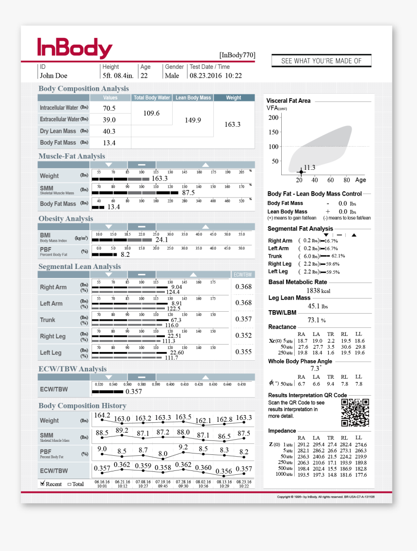 Inbody 770 Body Composition Result Sheet - Inbody 270 Result Sheet, HD Png Download, Free Download